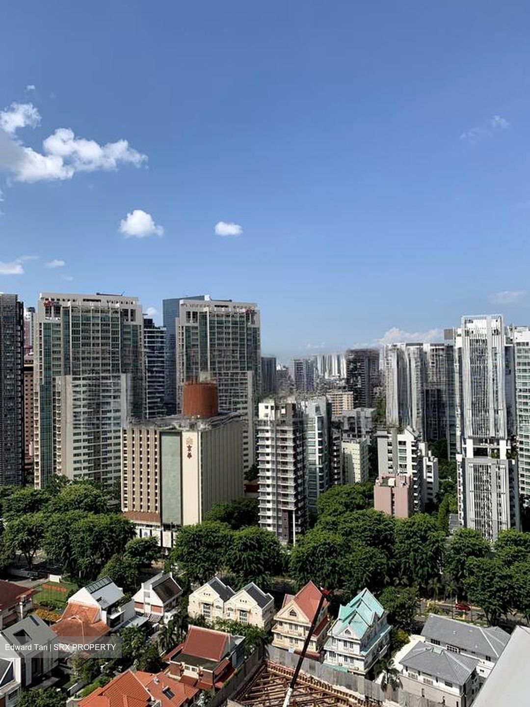Residences @ Evelyn (D11), Condominium #638601461